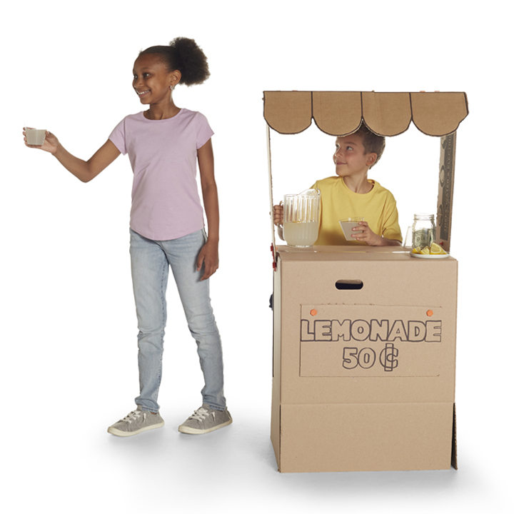 Learn How to Make a Cardboard Lemonade Stand